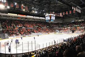 Image result for Sheffield Steelers