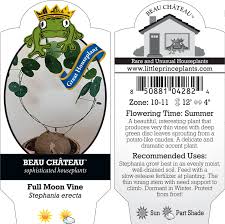 Attēlu rezultāti vaicājumam “Trichia erecta”