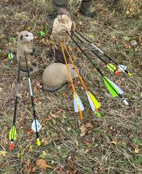 Image result for Long Eaton Field Archery Club