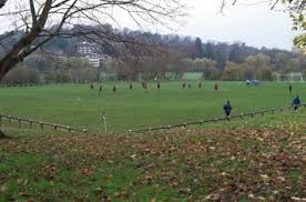 Image result for Shalford F C