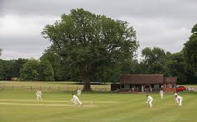 Image result for Bidborough Cc