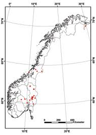 Attēlu rezultāti vaicājumam “Sphagnum wulfianum”
