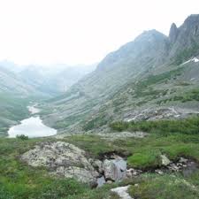 Attēlu rezultāti vaicājumam “Thecabius affinis imago”