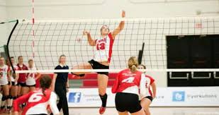 Image result for York University Volleyball Club