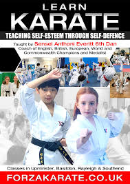 Image result for Everitt Karate Academy