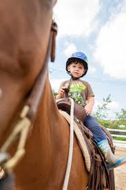 Image result for Weybridge Equestrian Centre