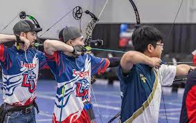Image result for Blue Arrows Archery Club