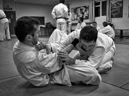 Image result for Ju Jitsu Tavistock