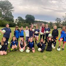 Image result for Milford Pumas Football Club