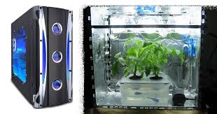  Hydroponic Grow Boxes