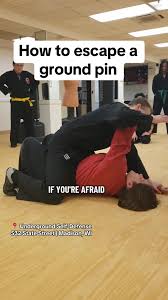 Image result for Hidden Dragon Karate-Do