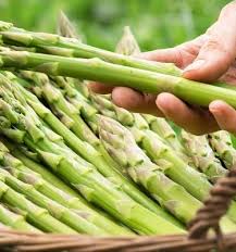Attēlu rezultāti vaicājumam “Asparagus officinalis”