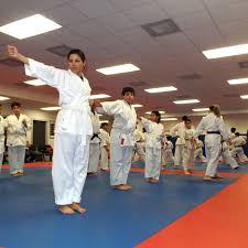 Image result for Imi Jishin Ryou karate do