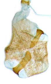 Attēlu rezultāti vaicājumam “Epinotia brunnichana”