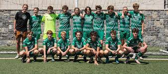 Image result for Celtic Football Club