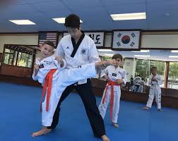 Image result for United Sport Karate