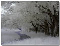 Image result for epl1 20mm night site:flickr.com