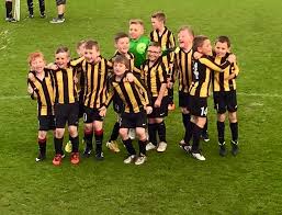 Image result for Brendon Bees Junior Football Club