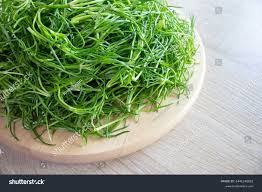 Attēlu rezultāti vaicājumam “Spergularia marina leaf”