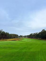 Image result for Finchley Golf Club Limited