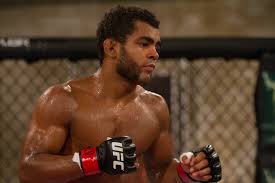 Image result for Wolverine MMA