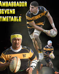 Image result for Wellington Rugby Football Club Limited