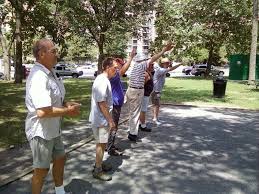 Image result for Plough & Chequers Petanque Club