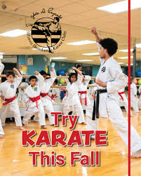 Image result for Shitokai Karate Club