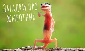Image result for Загадки
