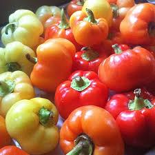 Afbeeldingsresultaat voor hungarian sweet apple sweet pepper