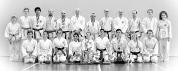 Image result for York University Karate Club