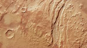 Image result for mars trees