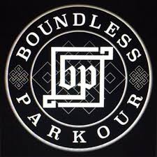 Image result for Teampulseparkour