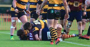 Image result for Ipswich Ym Rugby Union Football Club