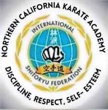 Image result for Northern Freestyle Karate Association