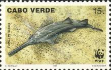 Image result for Pristis pectinata