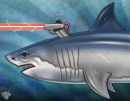 Image result for sharks lasers