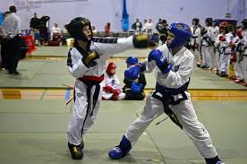 Image result for North West TaeKwonDo