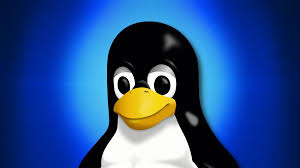 Image result for linux tux