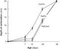 Durability of concrete containing a natural pozzolan as defined by ... 
