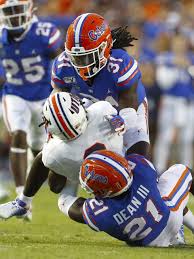 Image result for Grantham Gators