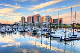 Image result for stamford cc