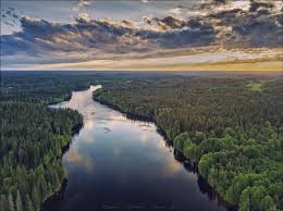 Image result for 4628737.html