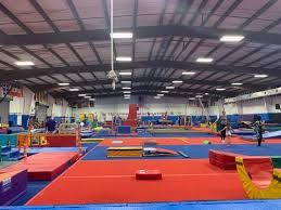 Image result for Evolution Trampoline Club