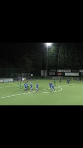 Image result for Newdigate F C