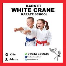 Image result for Red Dragon Netball Team