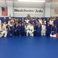 Image result for Exmouth Vikings Judo Club