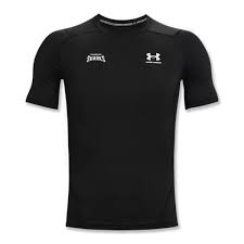 Image result for Chichester Sharks