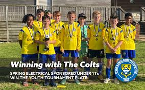 Image result for Epsom & Ewell Football Club