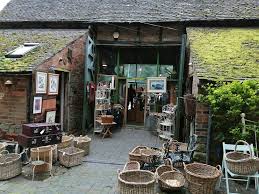 Image result for England Staffordshire Birding Club